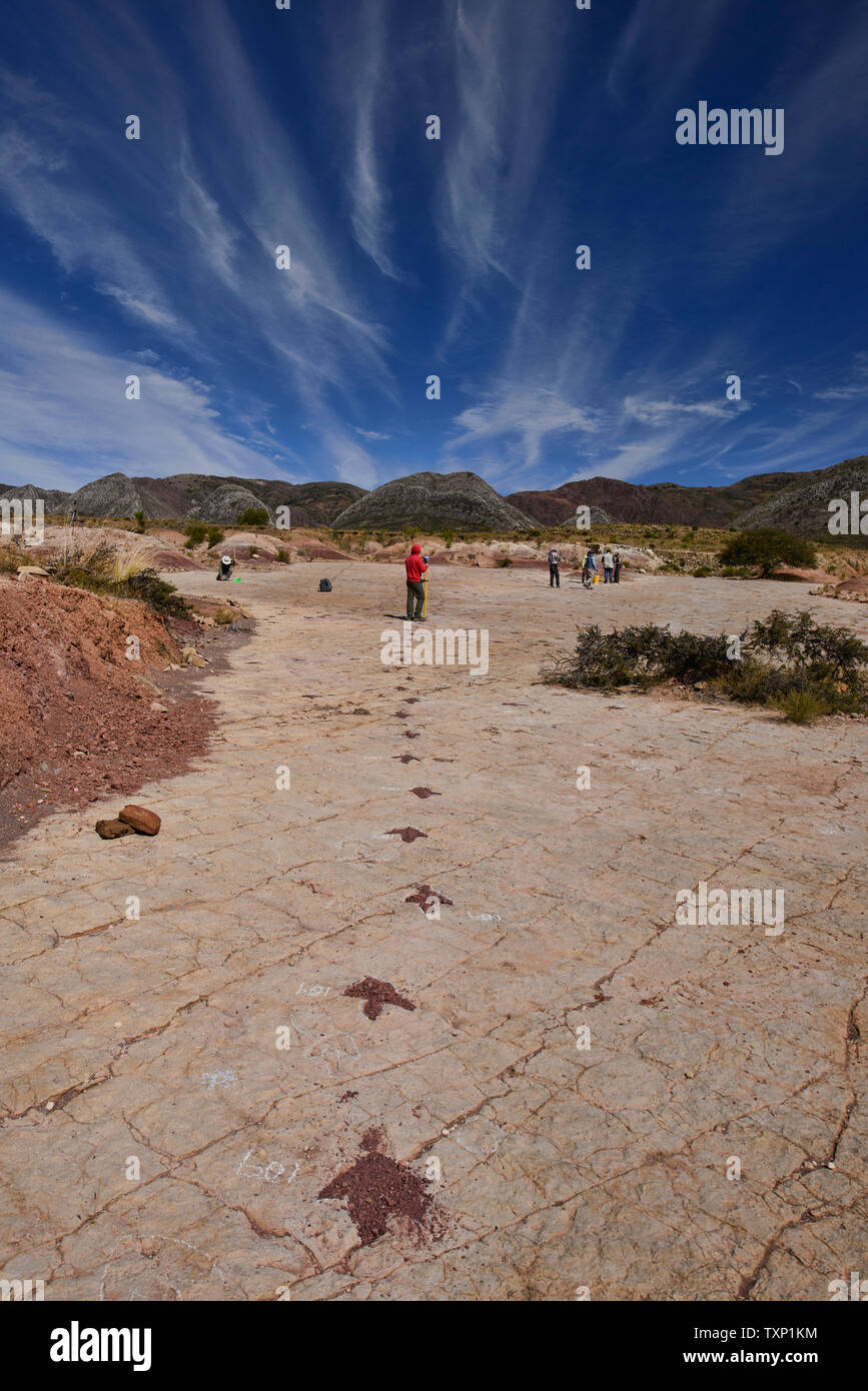 Empreintes de dinosaures dans le Parc National de Torotoro, Torotoro, Bolivie Banque D'Images