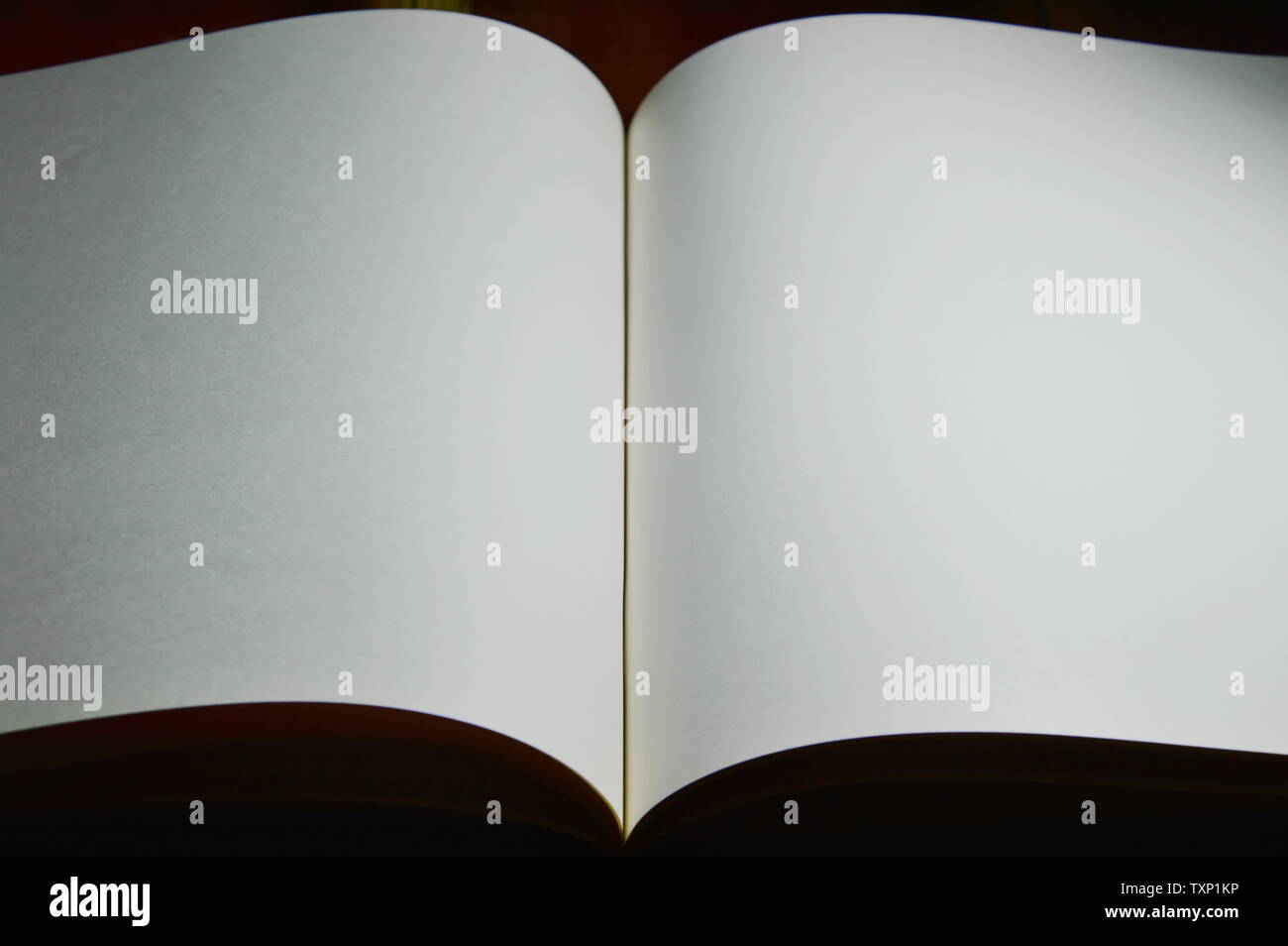 Livre papier blanc et lampe de lecture sur table en bois dans la nuit Photo  Stock - Alamy