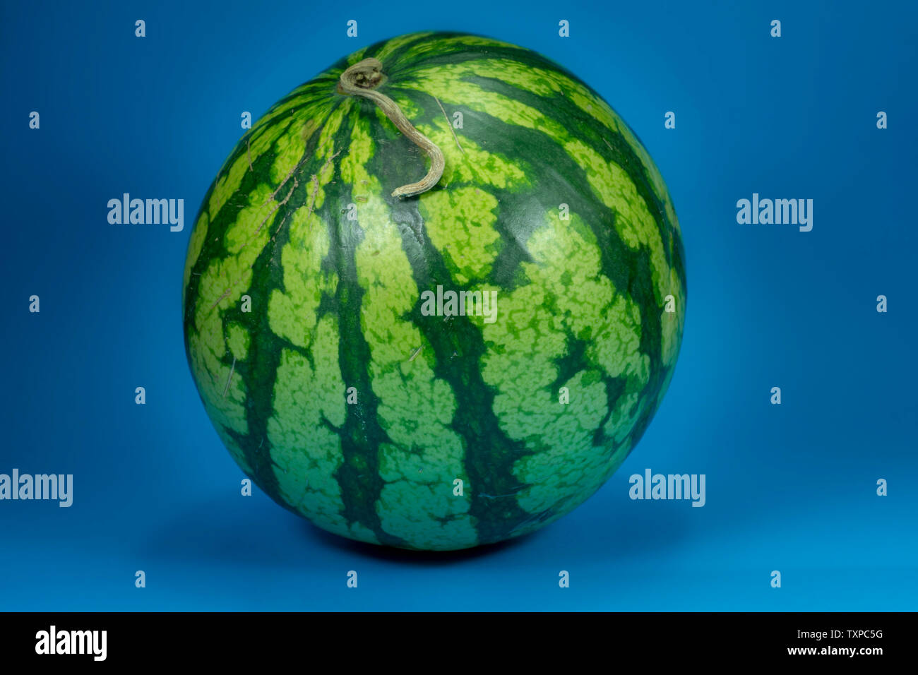 L'un venu ensemble watermelon isolé sur fond bleu Banque D'Images