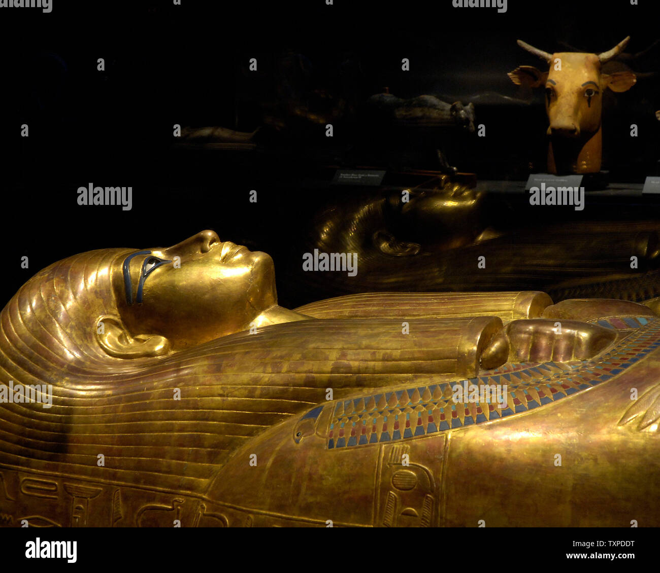 Le sarcophage de la grand-mère de King Tut est exposée au Musée d'Art de Fort Lauderdale le 19 décembre 2005. L'exposition 'King Tut et l'âge d'Or des Pharaons" est programmé pour être exécuté par le 15 avril 2006 et devrait attirer plus de 300 000 visiteurs de partout dans le monde. (Photo d'UPI/Marino / Cantrell) Banque D'Images