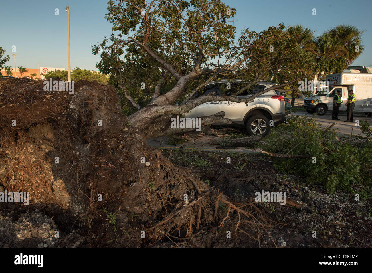 La police et d'autres travaillent au centre d'une voiture sous un arbre sur S. Dixie Highway à Miami, Floride le 12 septembre 2017. Le conducteur n'a pas voir l'arbre tombé déjà jusqu'à ce qu'il était trop tard. L'Irma a frappé la Floride dur tout en haut et en bas les deux côtes est et ouest. Photo de Ken Cedeno/UPI Banque D'Images