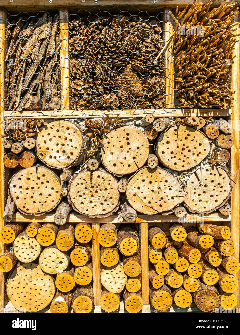 Close-up de l'hôtel des insectes pour les abeilles sauvages et autres insectes de naturel eco matériaux (cônes, bâtonnets, bois, foin, paille et d'écorce) Banque D'Images