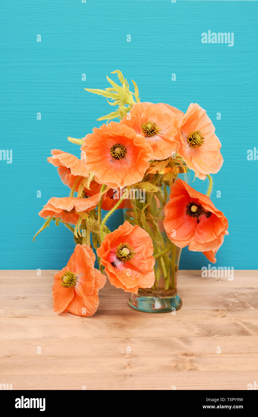 Vase de rose pâle arrangés avec désinvolture coquelicots sur une table en bois contre un fond bleu turquoise Banque D'Images