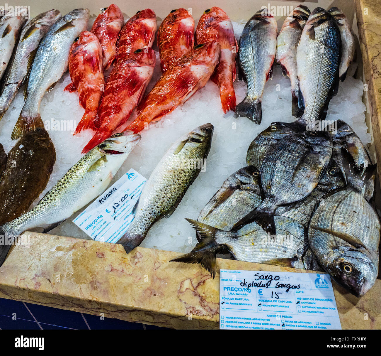 Affichage de poissons, marché de Lagos, Algarve, Portugal Banque D'Images