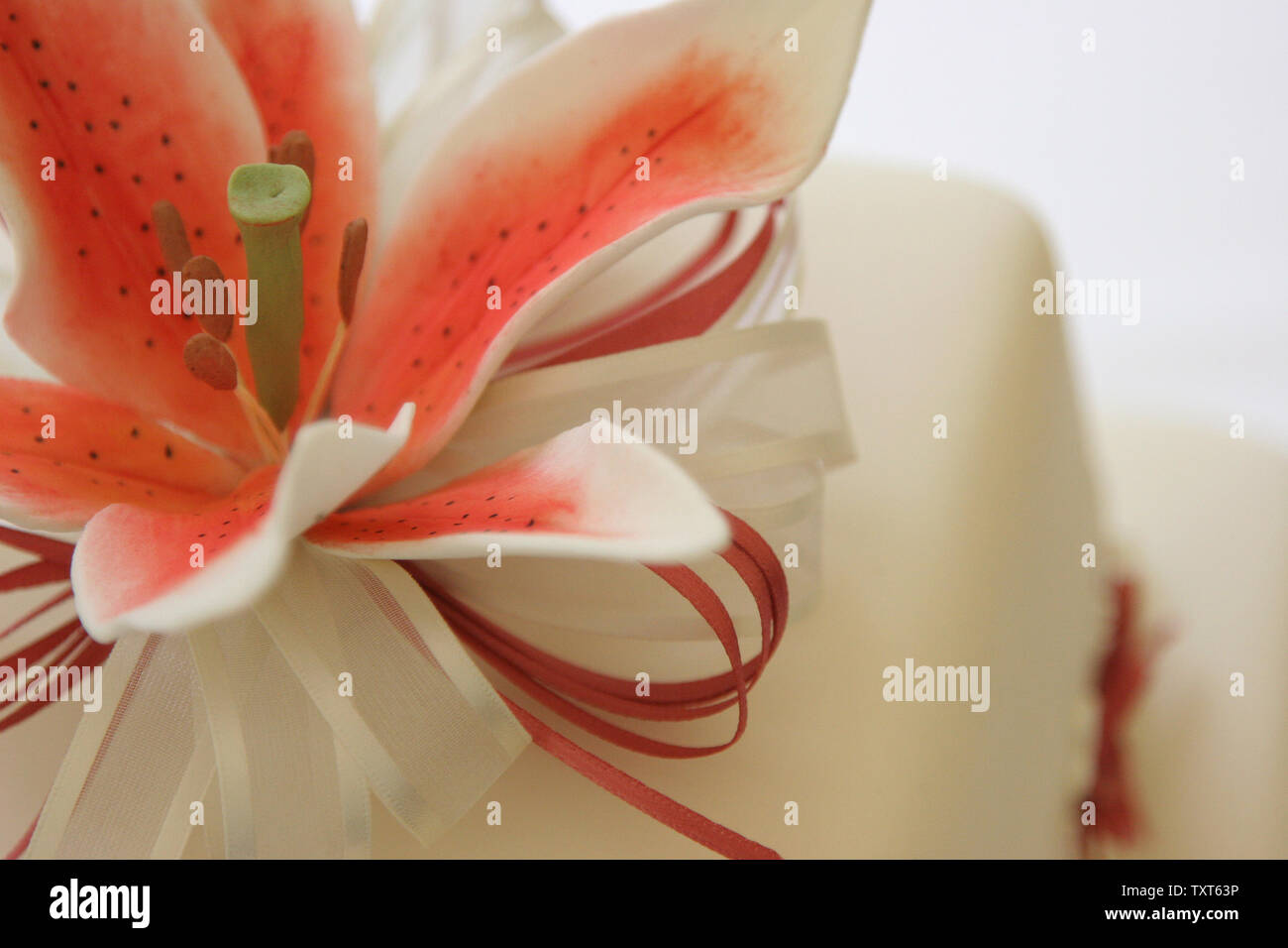 Close-up de fleur sur le gâteau glacé Banque D'Images