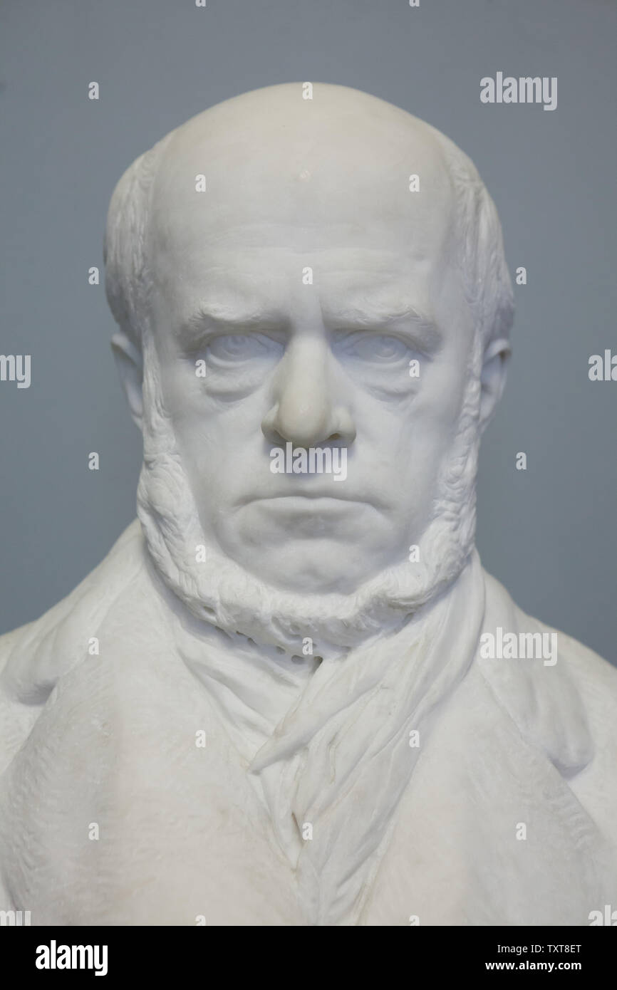 Buste en marbre de peintre réaliste allemand Adolph Menzel par sculpteur allemand Reinhold Begas (1875-1876) sur l'affichage dans la Alte Nationalgalerie (ancienne Galerie Nationale) à Berlin, Allemagne. Banque D'Images