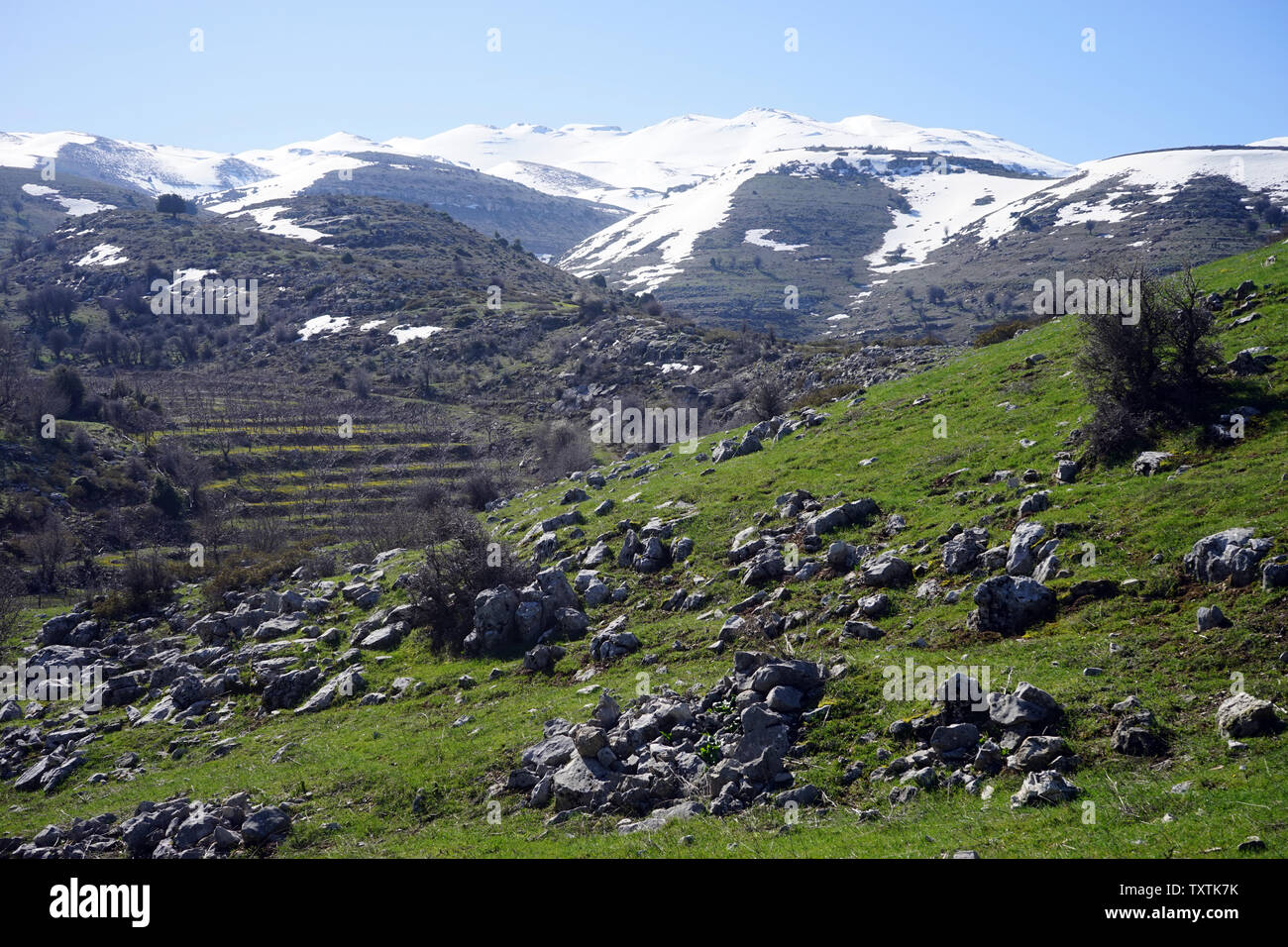 Des rochers et de la neige en montagne au Liban Banque D'Images