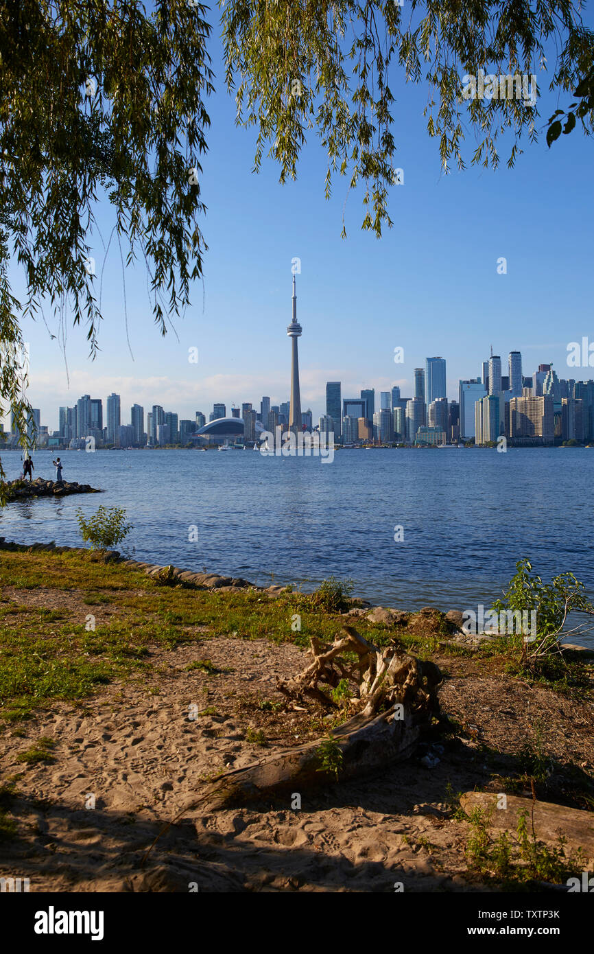 L'horizon de Toronto avec l'emblématique Tour du CN, l'Ontario, Canada Banque D'Images