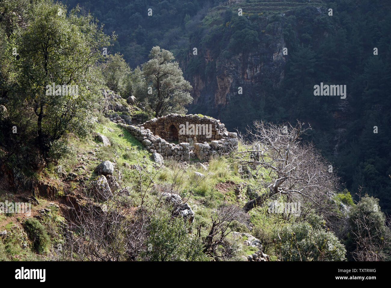 Sentier près de ruines dans la Vallée de Qadisha, au Liban Banque D'Images