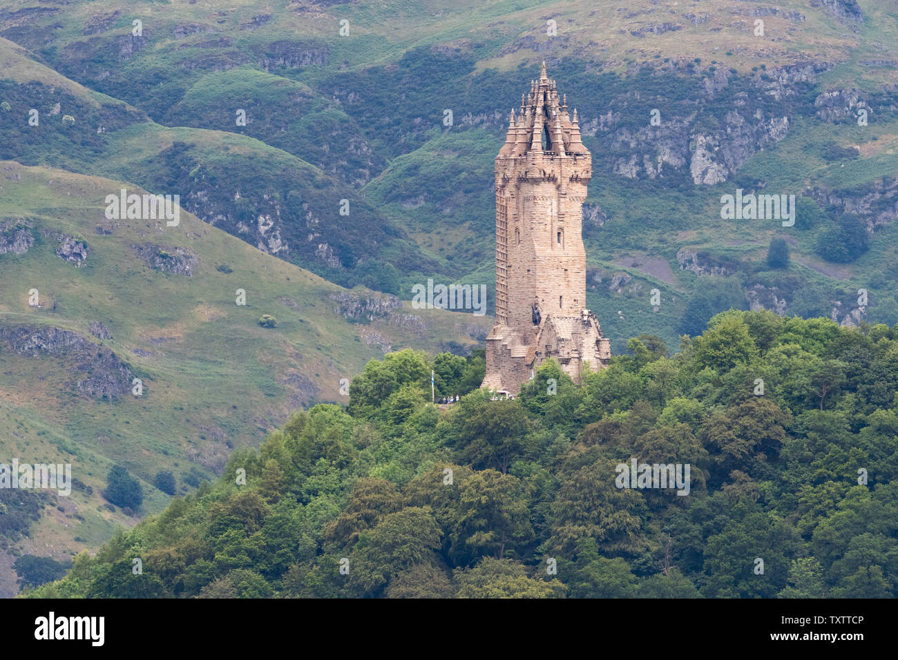 Le Monument National à Wallace avec les monts Ochil derrière, vu du château de Stirling, Stirling, Scotland, UK - groupe de personnes à l'échelle de la base de donner Banque D'Images