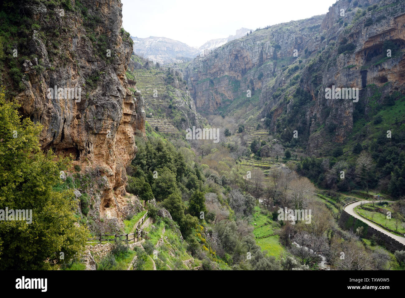 Vallée de la Quadisha vert au Liban Photo Stock - Alamy