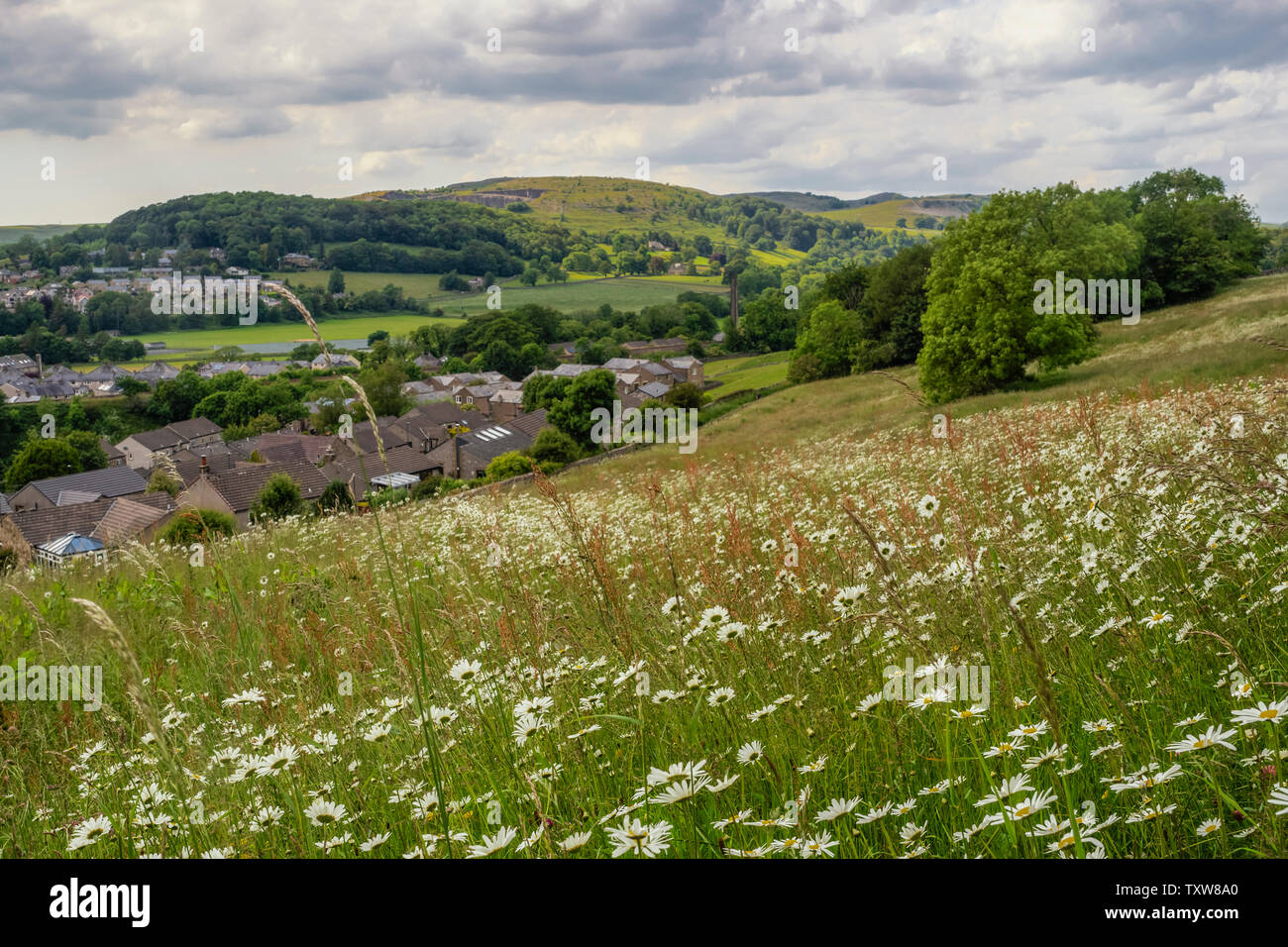 22/06/2019, s'installer, Yorkshire du Nord, UkHill Attermire marche le long4 cicatrice au-dessus de s'installer dans le Yorkshire Dales National Park un jour d'été. Banque D'Images