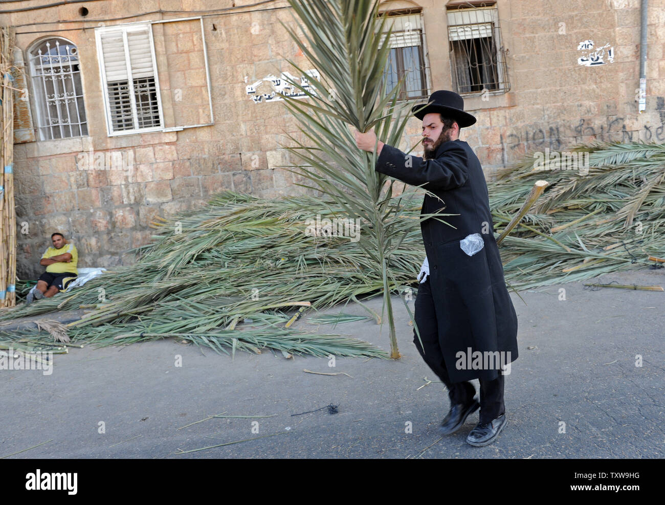 Un Juif ultra-orthodoxes porte une branche de palmier pour une cabane  temporaire pour la fête juive de Souccot, à Mea Shearim à Jérusalem, le 19  septembre 2010. Les juifs commencent les sept