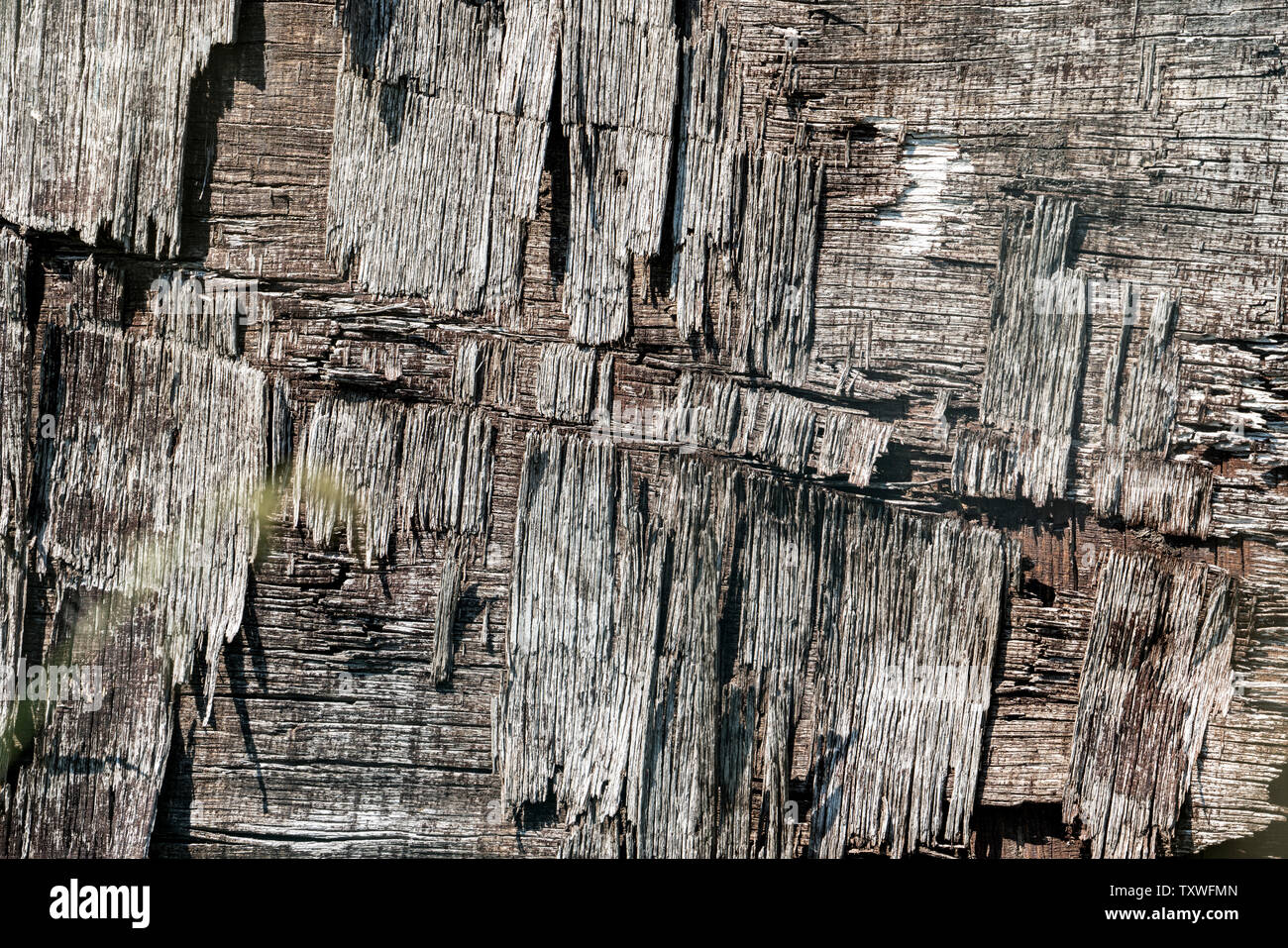 Vieux bois composite Banque D'Images