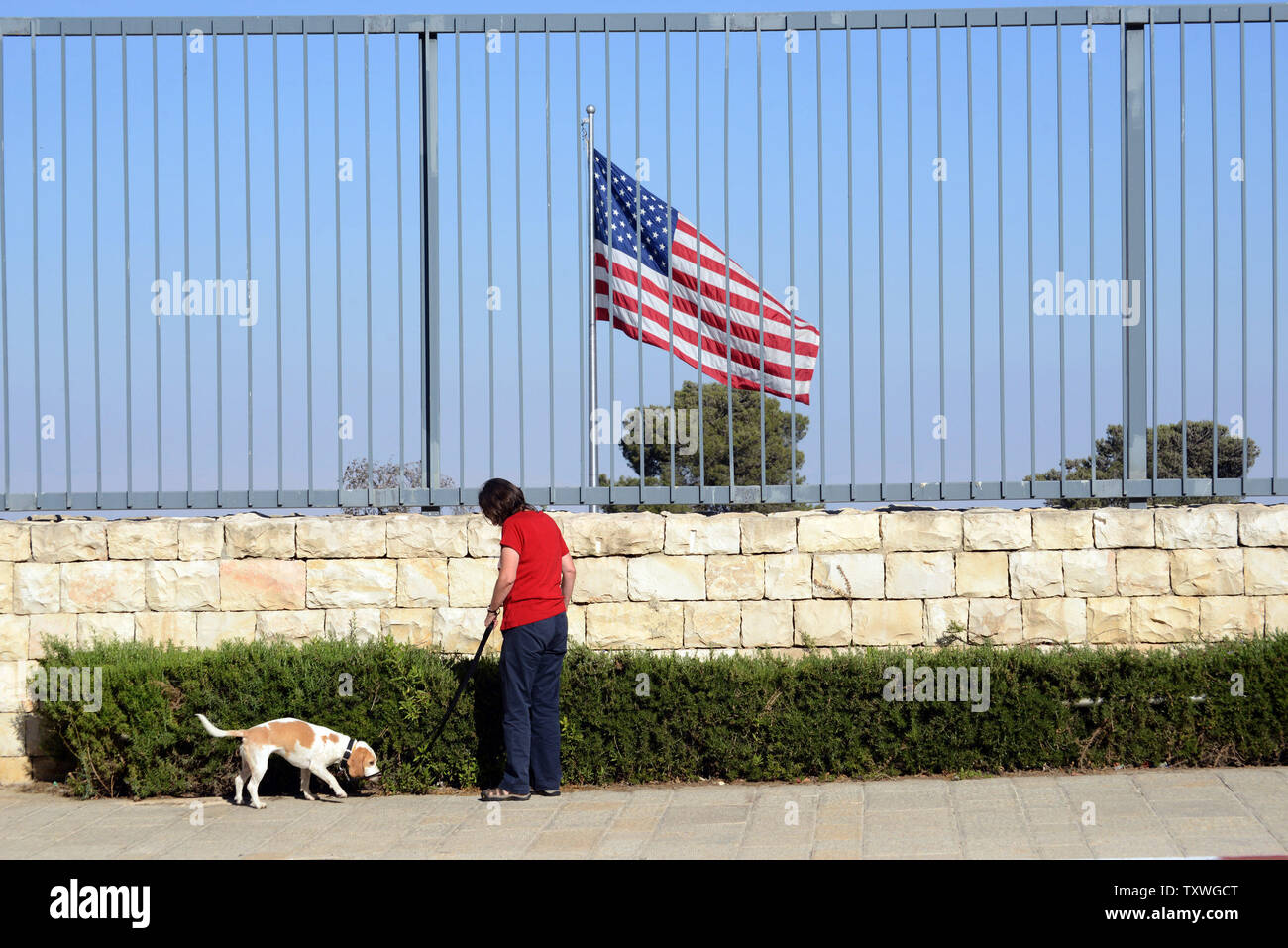 Un Israélien promenades un chien devant un drapeau américain battant derrière une haute clôture qui entoure le bâtiment du consulat général des États-Unis à Jérusalem, Israël, le 3 août 2013. Le Département d'Etat américain a annoncé un plan pour fermer des dizaines d'entre nous, ambassades et consulats au Moyen-Orient et en Afrique du Nord, y compris ceux au Yémen, l'Égypte, l'Irak, l'Arabie saoudite et Israël le dimanche, après l'interception de messages par de hauts membres de l'Al Qaeda discutant des attaques contre des cibles américaines à l'étranger. Les États-Unis ont émis un avertissement aux citoyens américains et aux voyageurs d'éviter les endroits bondés. UPI/Debbie Hill Banque D'Images