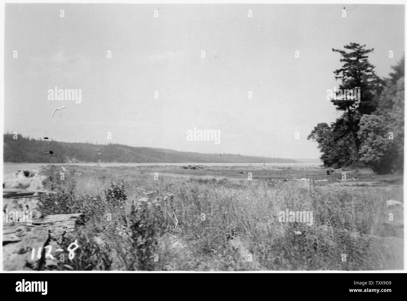 Vue de la plage à la fin de l'amérique du nord à partir de la pelouse. La parcelle 130, William Wagner, Jr. Todd Shipyard, Seattle, Washington. ; la portée et contenu : Après la DEUXIÈME GUERRE MONDIALE, l'ensemble de la Marine sur surplusing biens possédés ou utilisés pendant la guerre. Nombre de ces biens avaient été exploitées par des entreprises privées. Les bilans qui ont été fait avant la vente comprennent souvent des cartes des installations et photos de bâtiments sur les installations. Banque D'Images