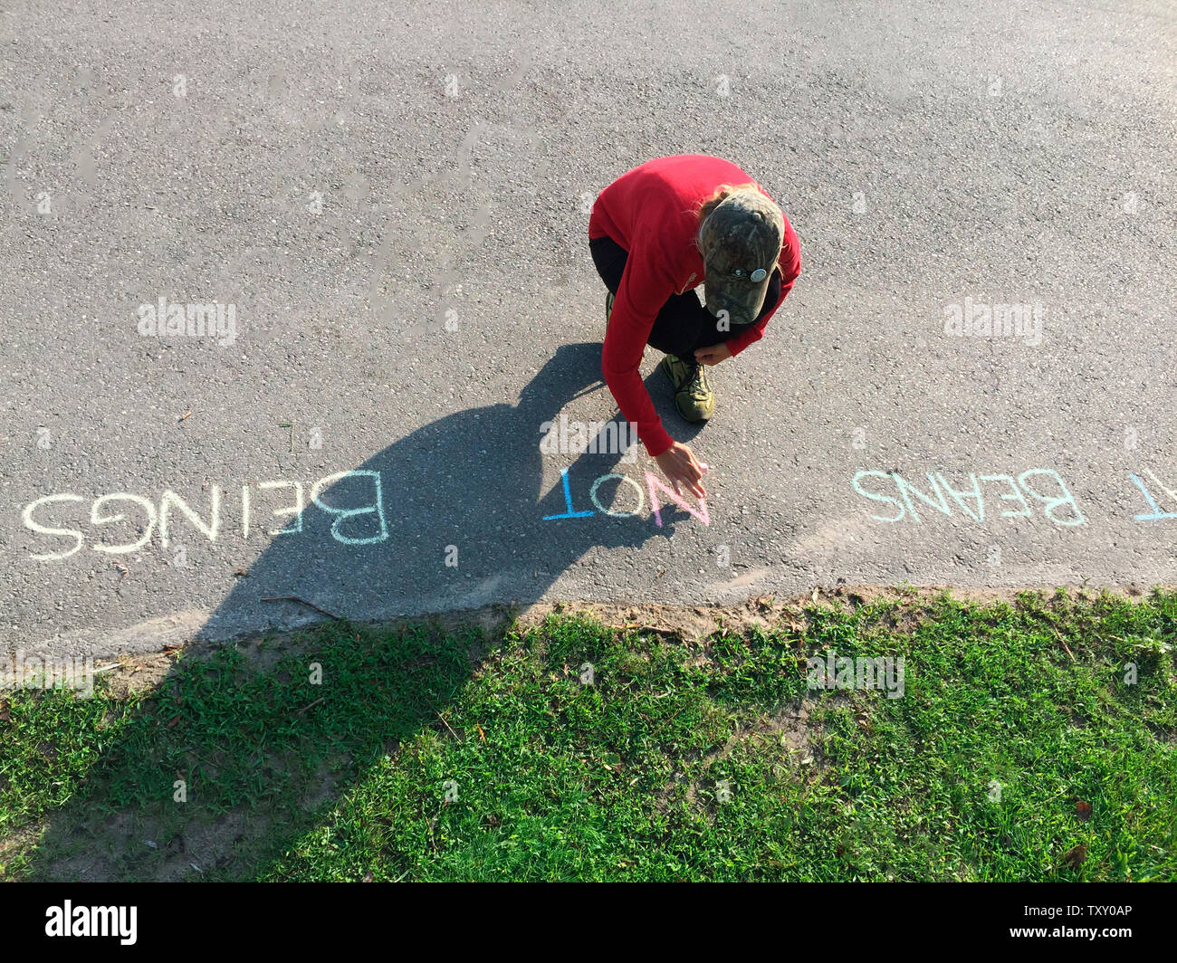 Un défenseur des droits des animaux écrit un message en craie sur une surface pavée dans un parc, Ontario, Canada Banque D'Images
