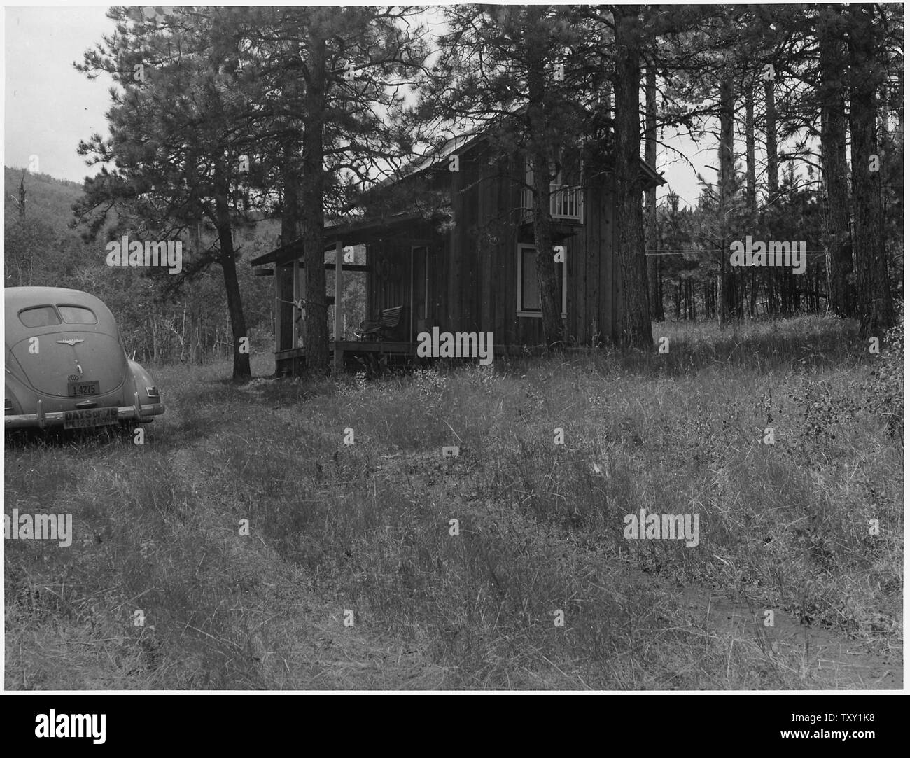 Craig Carter's cabin de deux étages sur un claim minier Banque D'Images