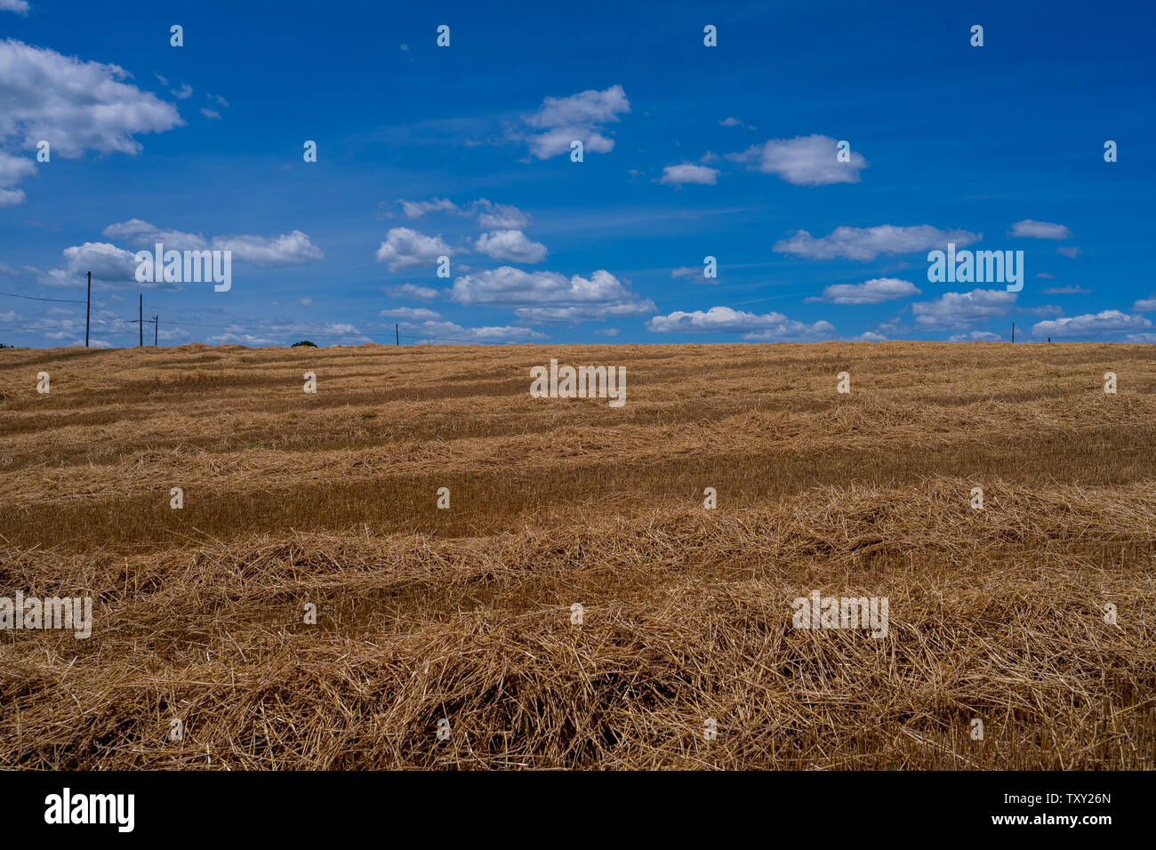 Photo d'un champ couvert de paille avec un fond de ciel bleu sur une ferme. Banque D'Images