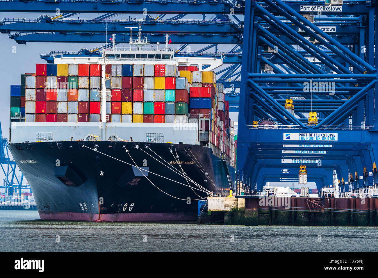 Port commercial du Royaume-Uni - conteneurs d'expédition déchargés du Maersk Eureka à Felixstowe - le port de Felixstowe est le plus grand port de conteneurs du Royaume-Uni Banque D'Images
