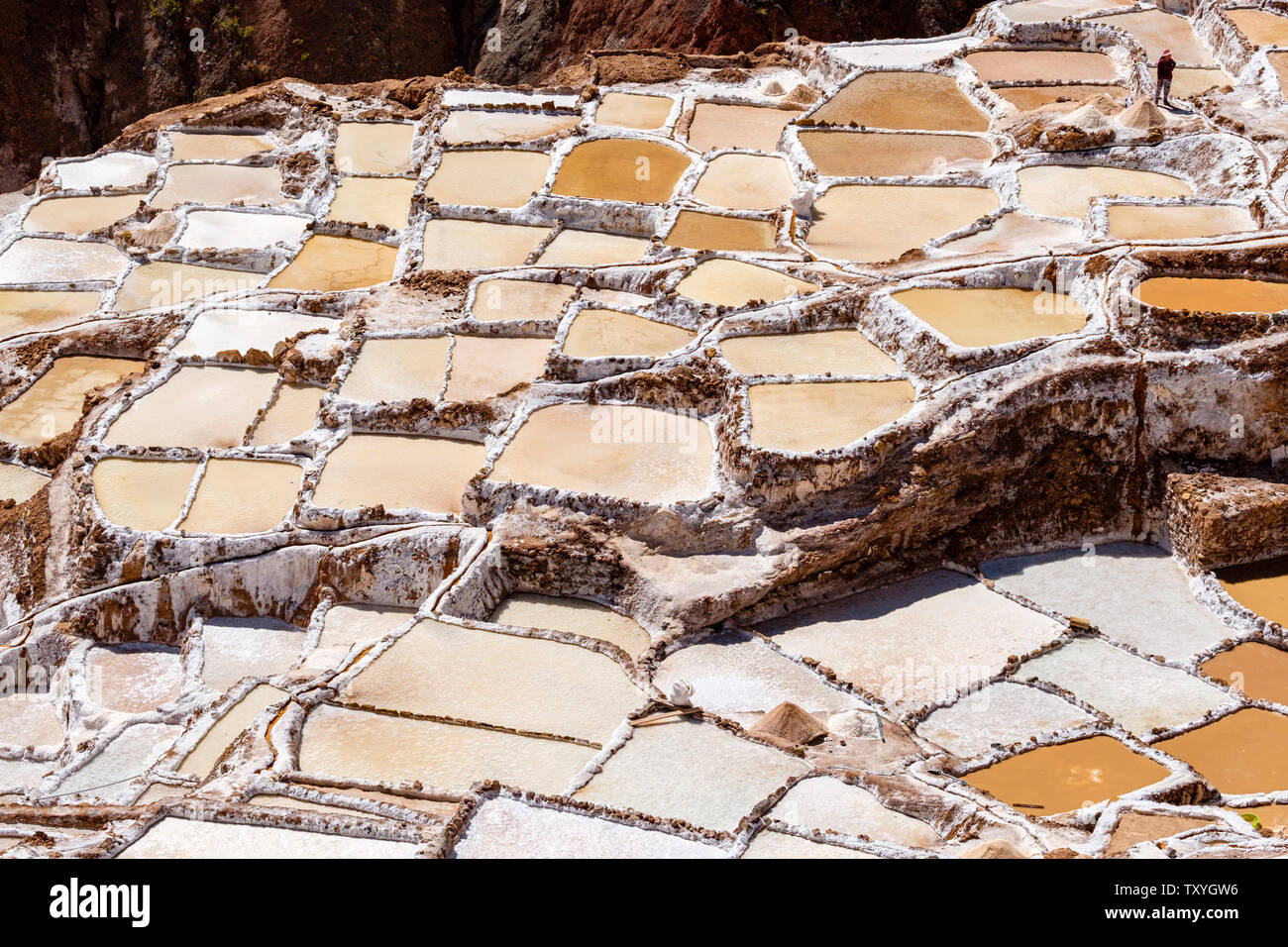 Salineras de Maras Maras / Mines de sel. L'extraction de sel dans les salines de Maras, terrasses et bassins, le Pérou La Vallée Sacrée. Banque D'Images