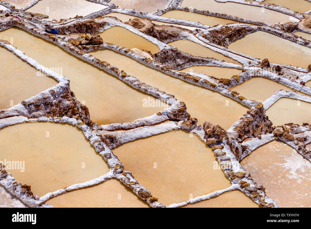 Détail de salineras de Maras Maras / Mines de sel. L'extraction de sel dans les salines de Maras, terrasses et bassins, le Pérou La Vallée Sacrée. Banque D'Images