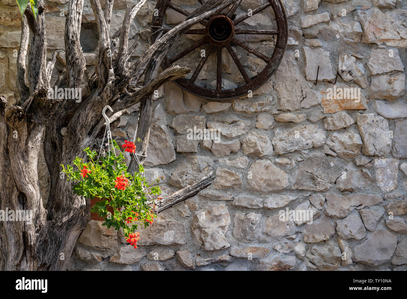 Les fleurs rouges en arrangement floral artistique avec une roue Banque D'Images