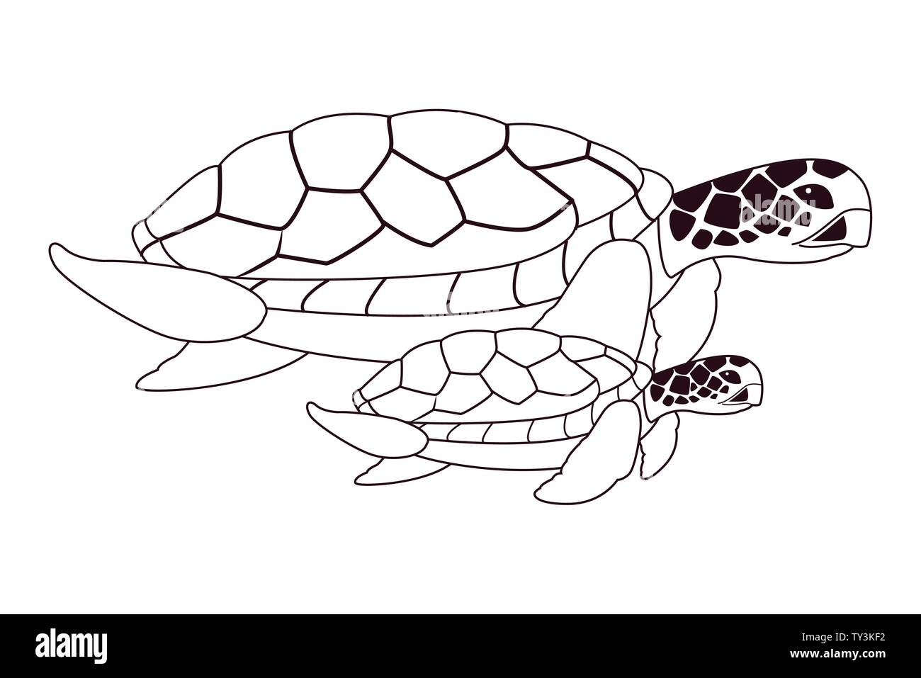 L'icône de tortue de mer deux dessins en noir et blanc Illustration de Vecteur