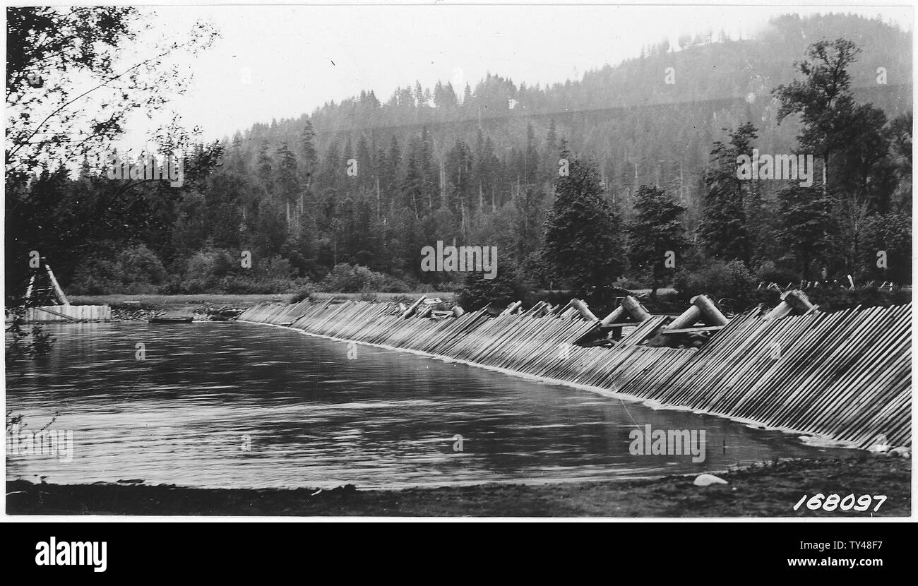 Trap-Salmon poisson, à travers le sud près de la rivière Willamette, Cascade, forêt frontière ou, 1922. Banque D'Images