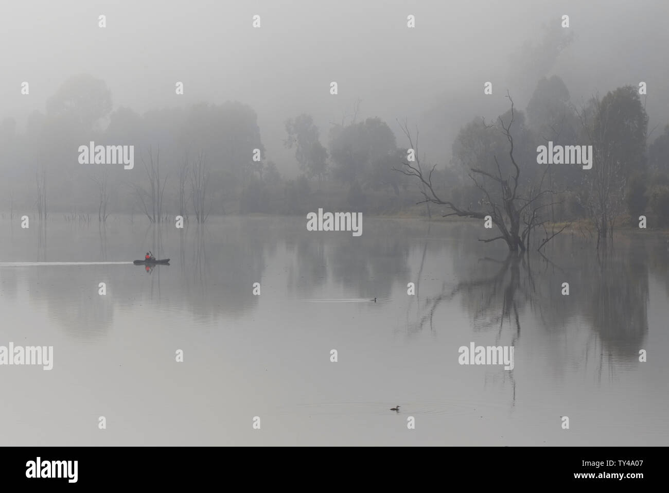 Traversée en canoë les eaux calmes du lac Paradise Burnett River Queensland Australie dans le brouillard au petit matin Banque D'Images