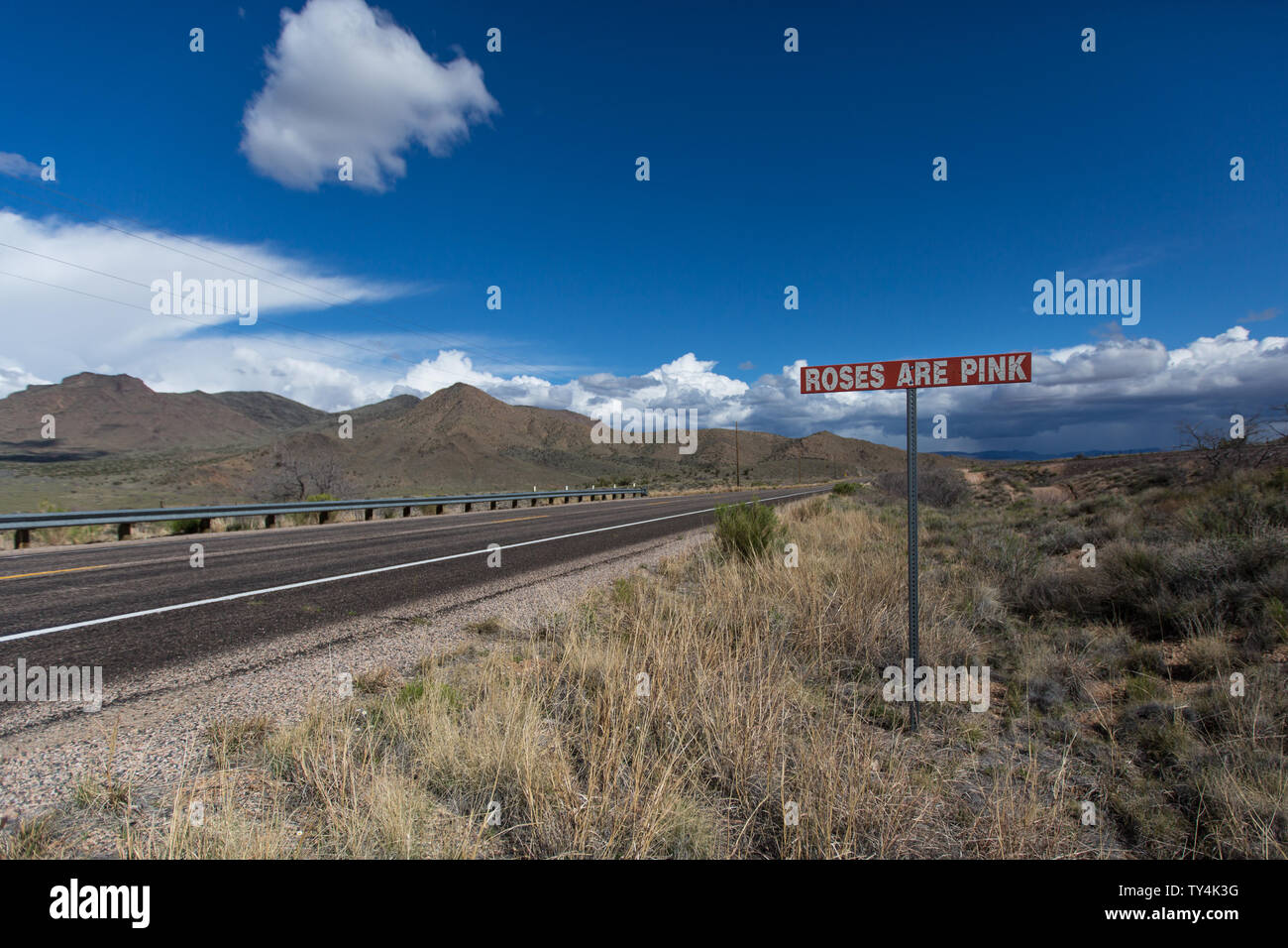 Roses sont roses sur la Route 66 Banque D'Images