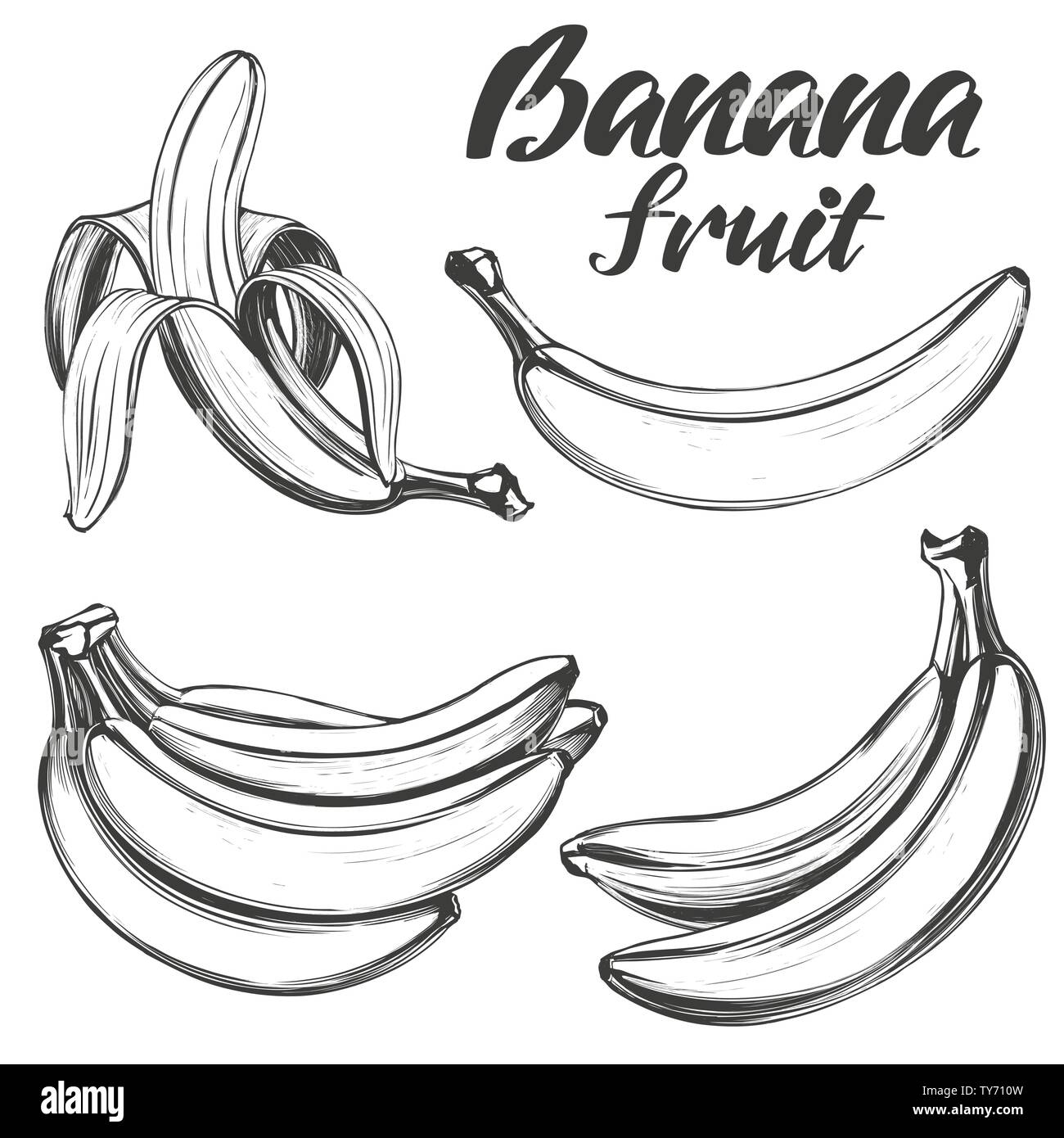 Mise à fruits bananes hand drawn vector illustration croquis Illustration de Vecteur