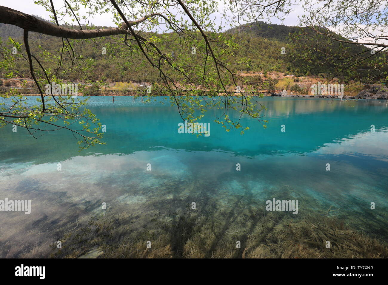 Blue Moon Valley Banque D'Images