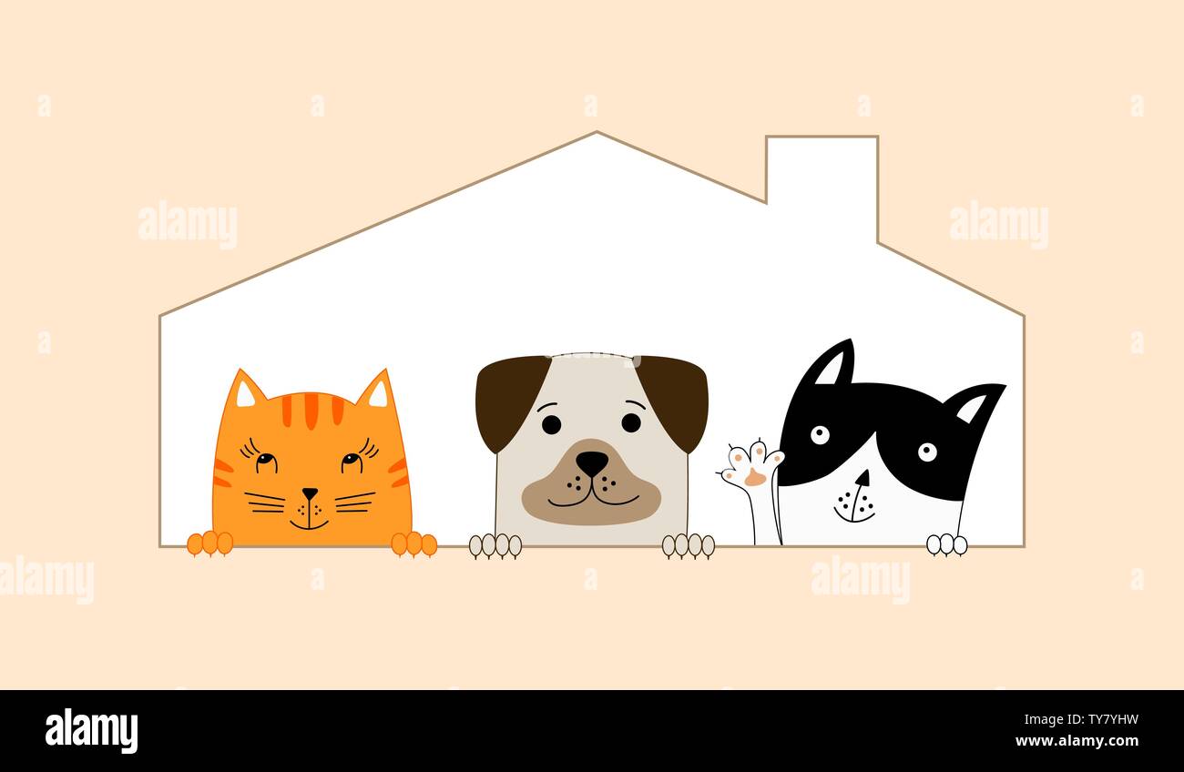 Deux chats et un chien assis dans leur chambre. Pet Shop. Chien drôle et cute cats meilleurs amis. Vector illustration. Illustration de Vecteur