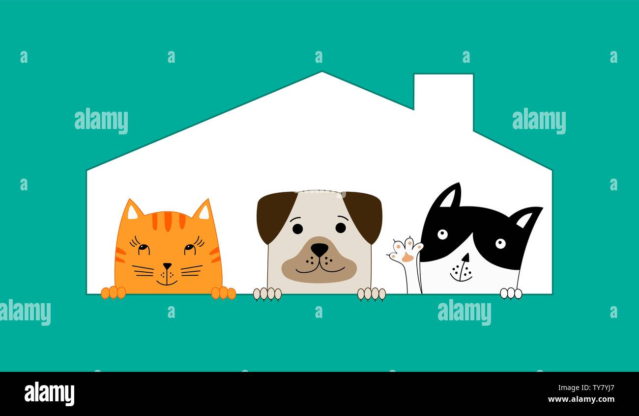 Deux chats et un chien assis dans leur chambre. Pet Shop. Chien drôle et cute cats meilleurs amis. Vector illustration. Illustration de Vecteur