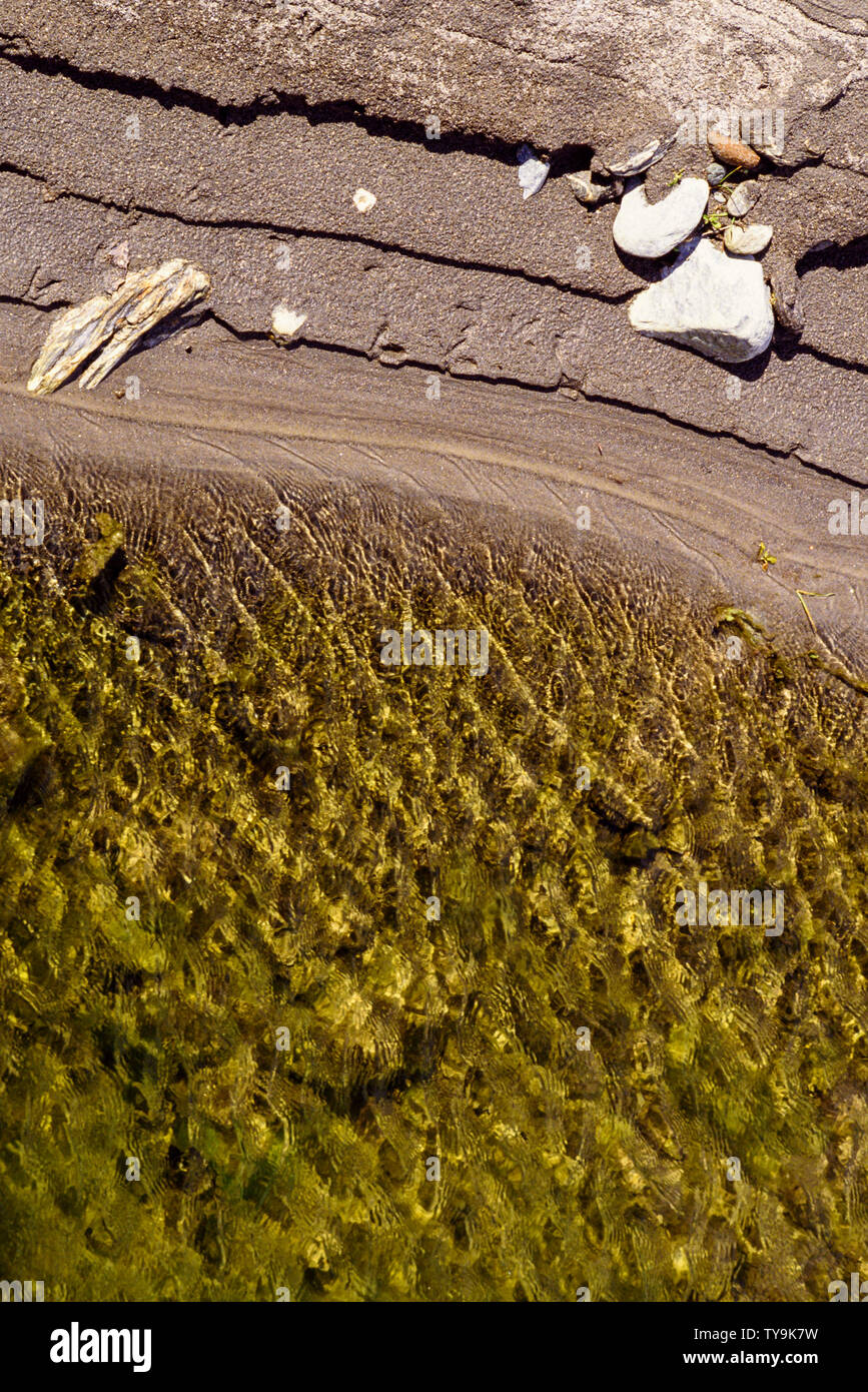 Nouvelle Zélande, île du Sud. Westland Tai Poutini National Park qui contient de nombreux elaments de forêt pluviale tempérée. Photo : © Simon Grosset. Archive : I Banque D'Images