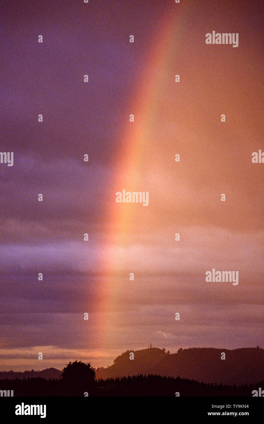 Nouvelle Zélande, île du Nord arc-en-ciel. Photo : © Simon Grosset. Archive : image numérisé à partir d'un original de la transparence. Prise en novembre 1989 Banque D'Images