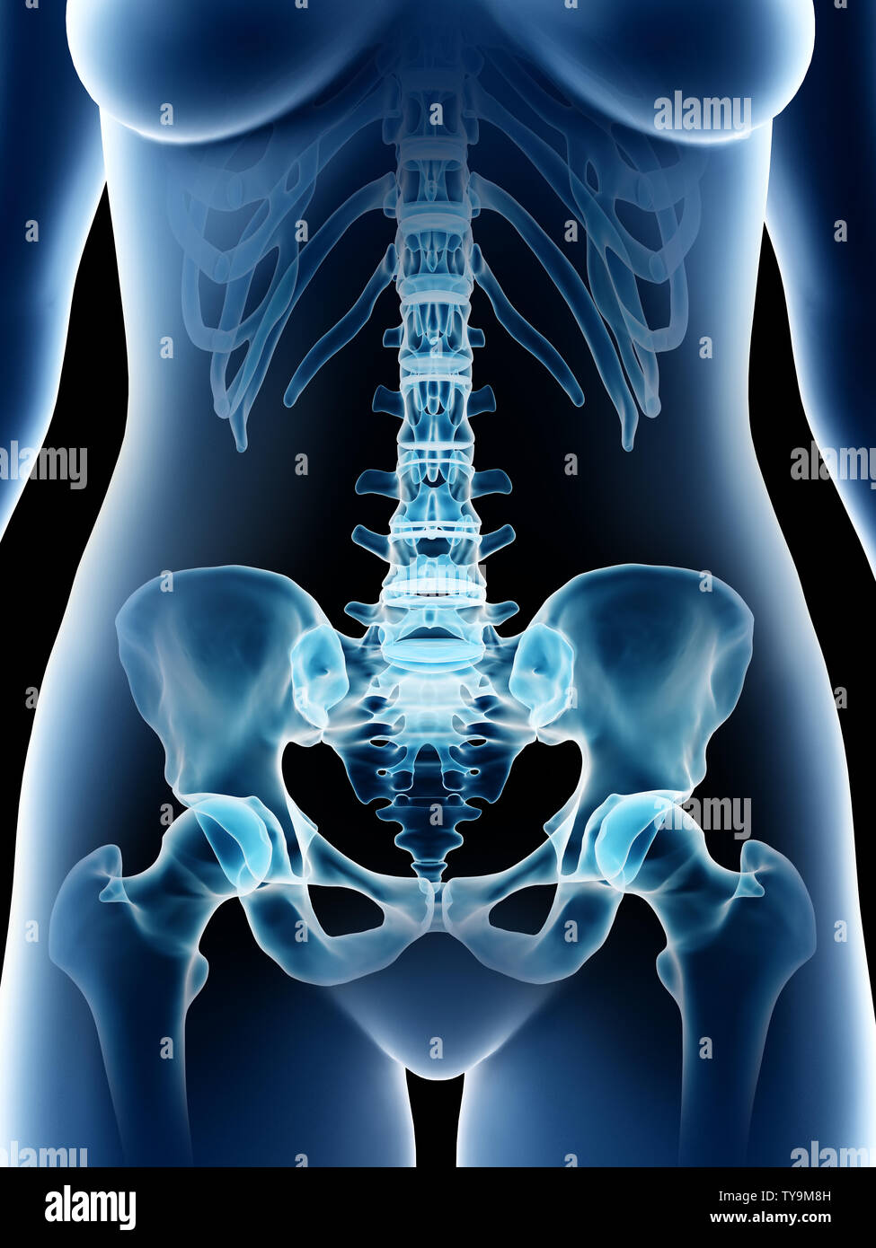 Pubis femme Banque de photographies et d’images à haute résolution - Alamy