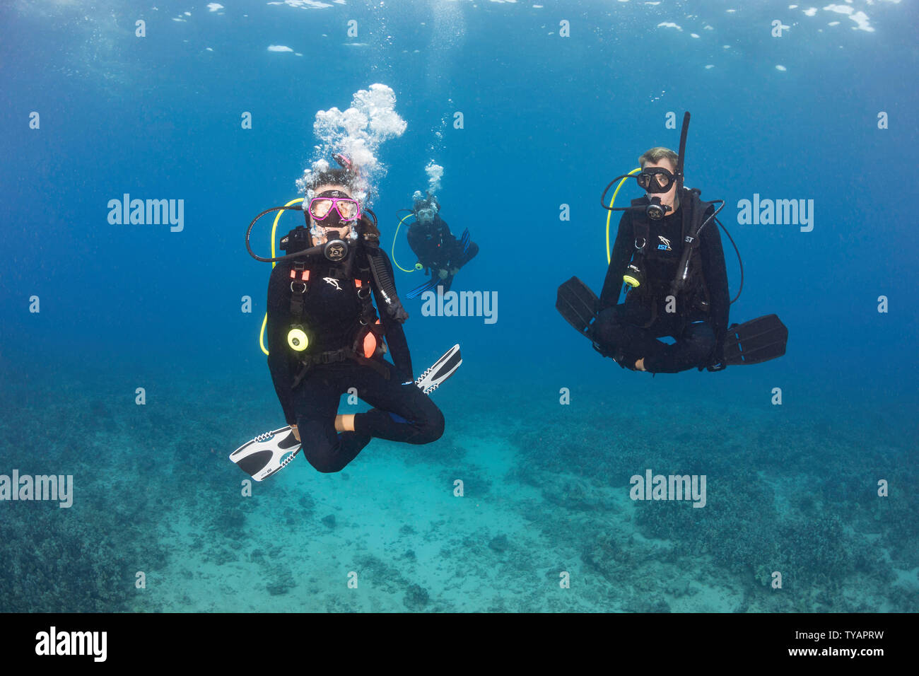 Un groupe de trois plongeurs (MR) démontrer une flottabilité neutre des compétences sur un récif, à Hawaï. Banque D'Images