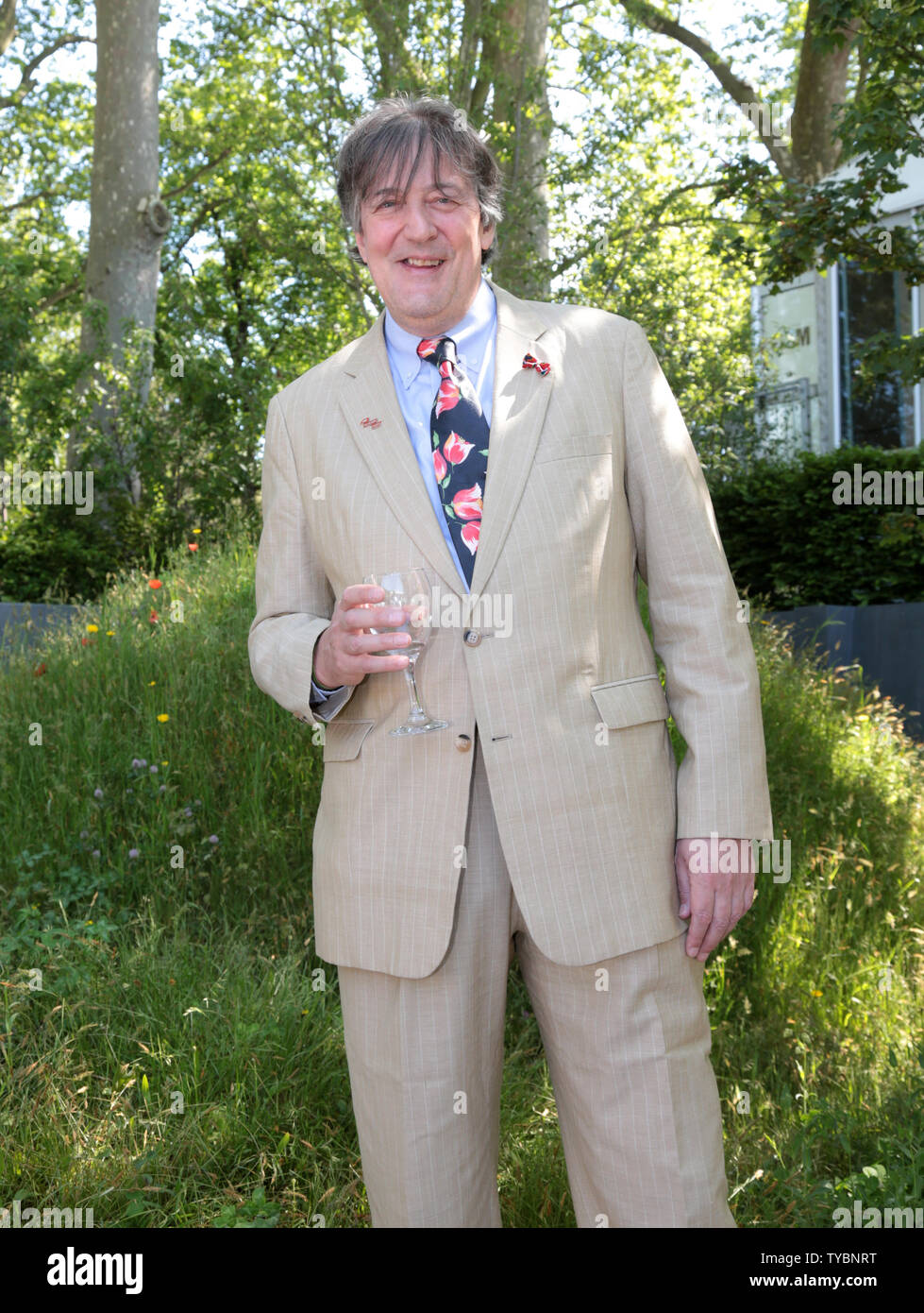 Acteur Stephen Fry se trouve dans le No Mans Land garden' dans la mémoire de l'centenerary de la 1ère guerre mondiale à la Chelsea Flower Show 2014 à Chelsea, Londres le 19 mai 2014. UPI / Hugo Philpott Banque D'Images