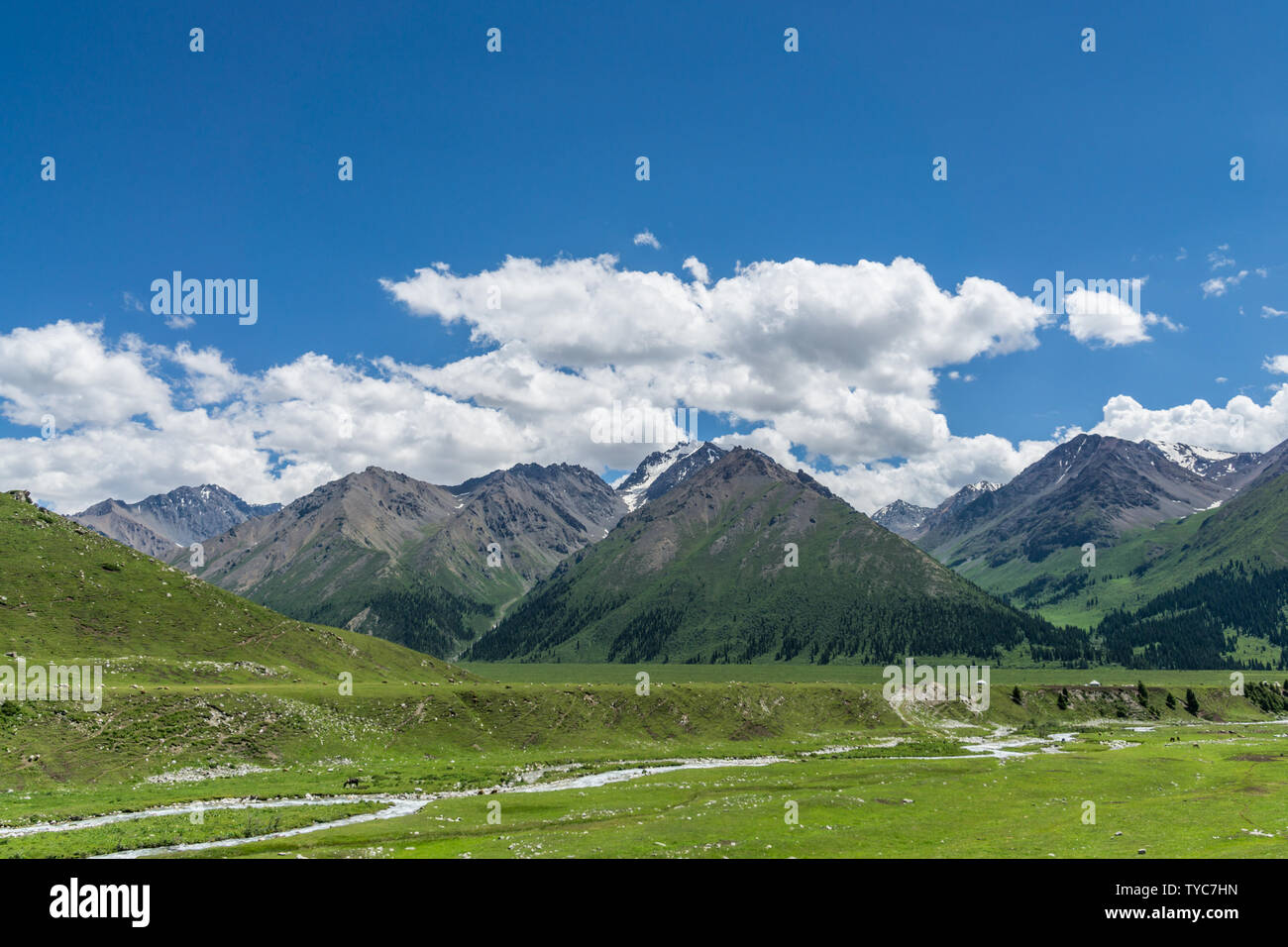 Les prairies alpines le long de la G217 Duku sous l'autoroute l'été, ciel bleu et nuages blancs dans le Xinjiang, Chine Banque D'Images