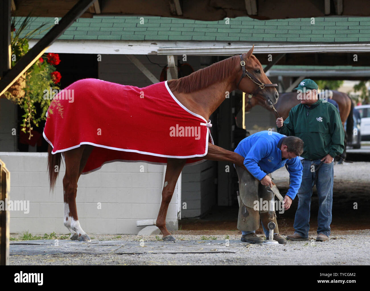 Un maréchal-ferrant chaussures changements sur un cheval à l'arrière à Churchill Downs après au matin des entraînements à Louisville, Kentucky, le 2 mai 2017. Les formateurs sont la préparation de leurs chevaux pour la 143e exécution du Kentucky Derby qui aura lieu à l'hippodrome de Churchill Downs le 6 mai. Photo de John Sommers II/UPI Banque D'Images