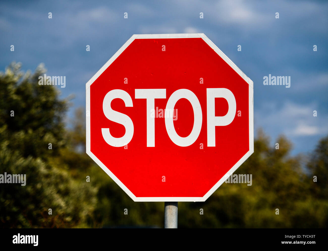 Stopschild, ARRÊT Banque D'Images