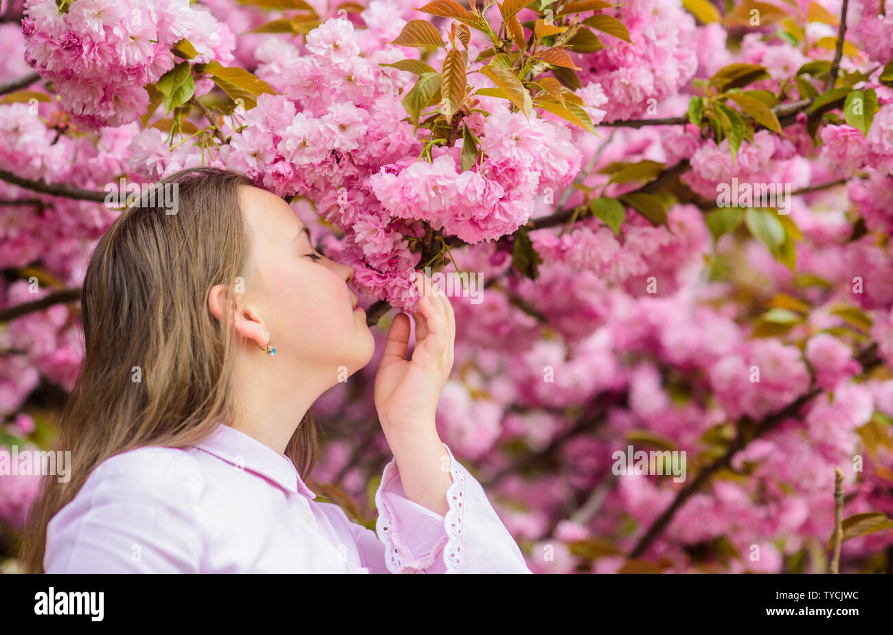 Joyeux Printemps Vacances Jardin Botanique De Printemps C Est La Facon Dont Les Odeurs De Printemps La Floraison D Offres Petite Fille Profiter Du Printemps Kid Sur Rose Fleurs De Sakura Tree Background Kid
