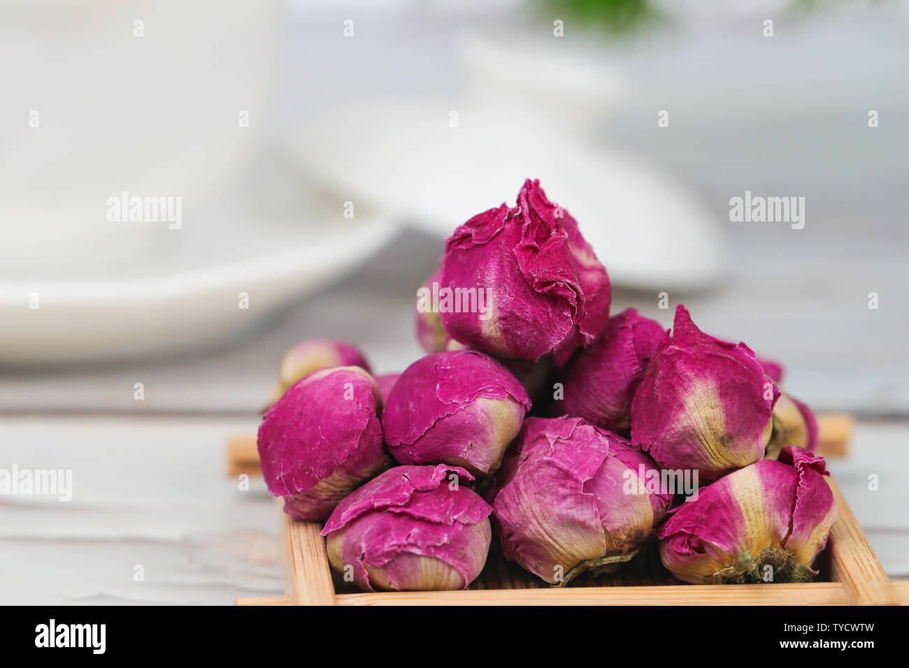 La pivoine plateau Banque D'Images