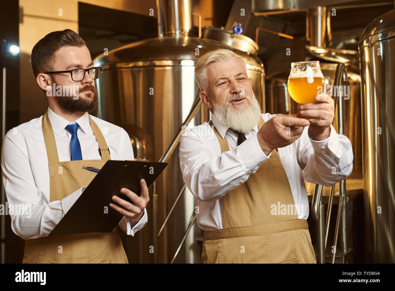 Deux spécialistes de la brasserie à bière, verre à l'analyse. Personnes âgées brewer holding glass avec de la bière froide avec de la mousse. Beau barbu, expert du dossier, à la bière, à l'écriture. Banque D'Images