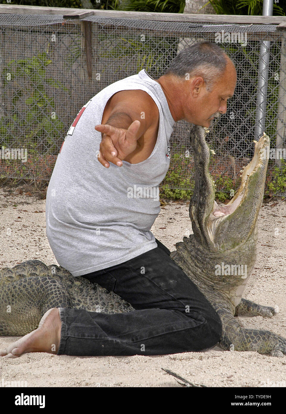 Bob Freer, propriétaire de l'Everglades Outpost Wildlife Refuge, fournit une démonstration sur la manipulation et le comportement d'alligator pour la montgolfière aéronautes au cours de la 22e communauté Sunrise Hot Air Balloon Race à Homestead, Floride le 23 avril 2005. (Photo d'UPI/Marino-Bill Joe Cantrell) Banque D'Images