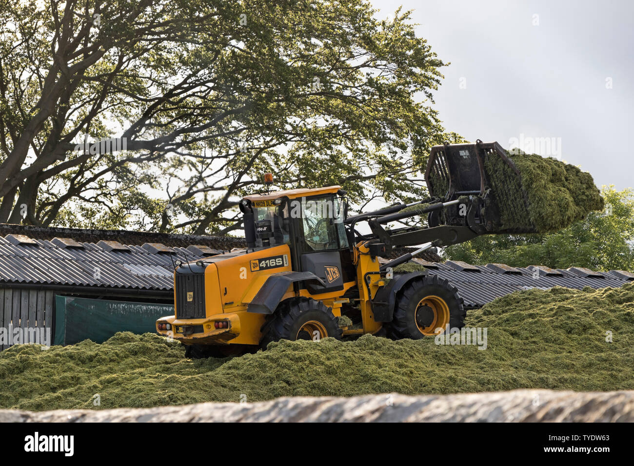 Remplissage du tracteur et du matériel roulant en haut d'un collier d'ensilage, England, UK Banque D'Images