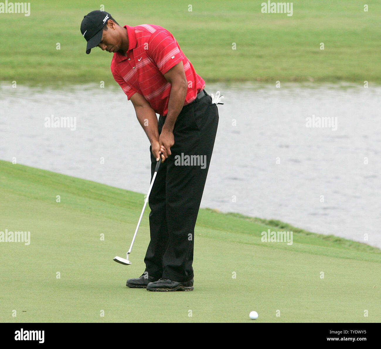 Tiger Woods putts sur le 18ème green au cours de la ronde finale de la World Golf Championships - CA Championship à Doral Resort and Spa de Doral, Floride le 24 mars 2008. Woods a terminé 15 sous la normale, pour le tournoi, terminant 2 coups derrière le vainqueur Geoff Ogilvy. (Photo d'UPI/Michael Bush) Banque D'Images