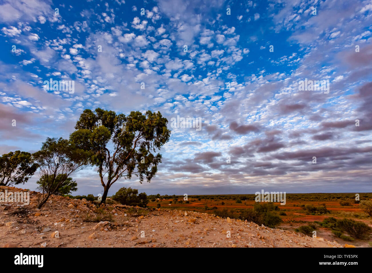 Kookynie, nord-est de l'or, l'ouest de l'Australie. Banque D'Images